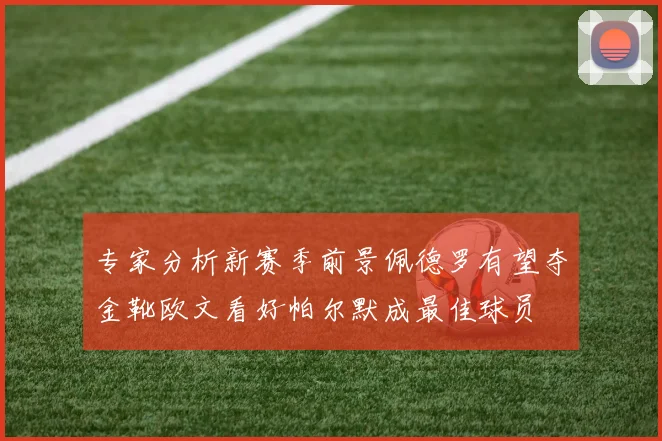 专家分析新赛季前景佩德罗有望夺金靴欧文看好帕尔默成最佳球员
